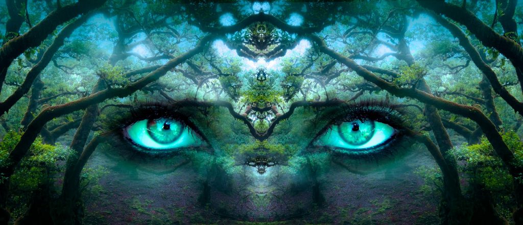 Fantasy-Foto: ein mystisches übergroßes Augenpaar schaut durch den Wald