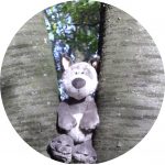 Foto: Stofftier-Wolf zwischen zwei Baumstämmen sitzend